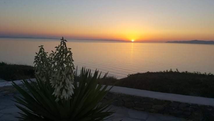 Syros Apartments Suites Chryssonisos Kini Eksteriør billede